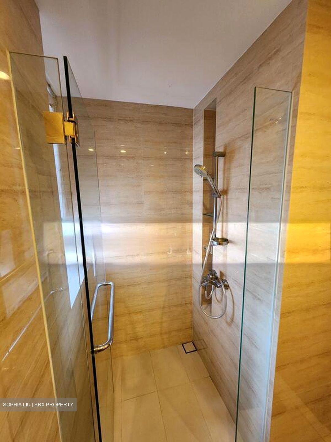 The Palette (D18), Condominium #504143271